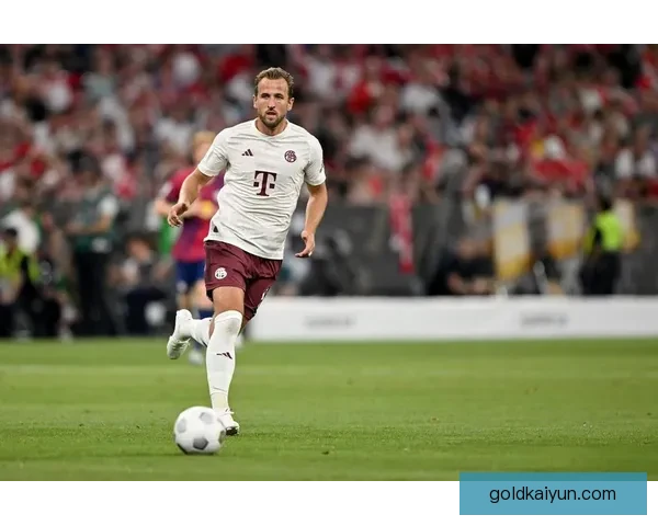 英超哈里·凯恩 英超哈里·凯恩